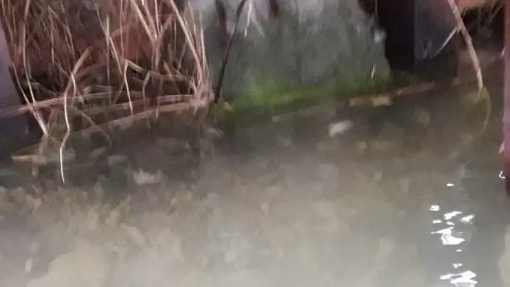 Ortaca'da iskele altında mahsur kalan kedi kurtarıldı