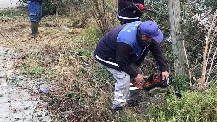ORTACA'NIN PARK VE BAHÇELERİ 'YAZ'A HAZIRLANIYOR