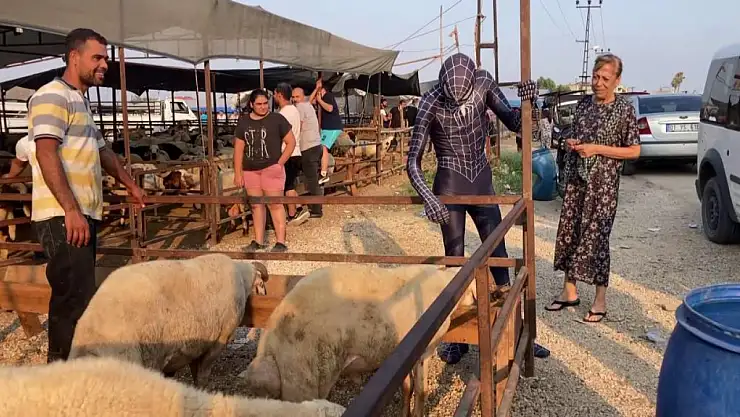 'Örümcek Adam' kurban pazarında