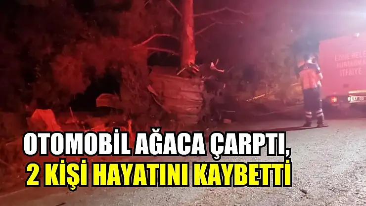 Otomobil ağaca çarptı, 2 kişi hayatını kaybetti