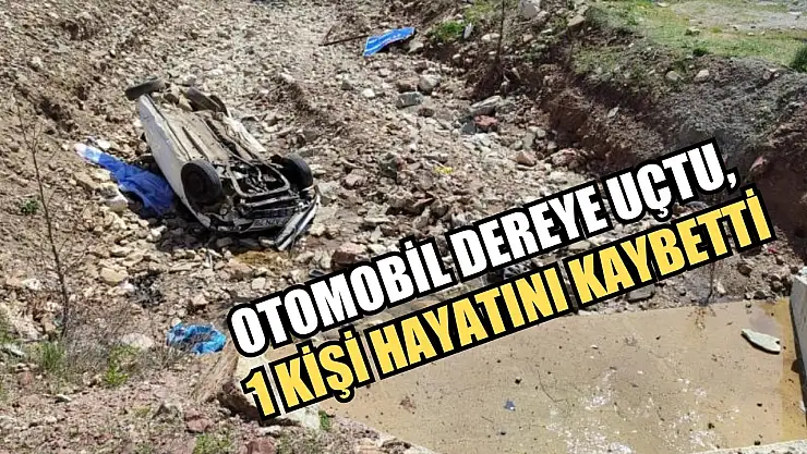 Otomobil dereye uçtu, 1 kişi hayatını kaybetti