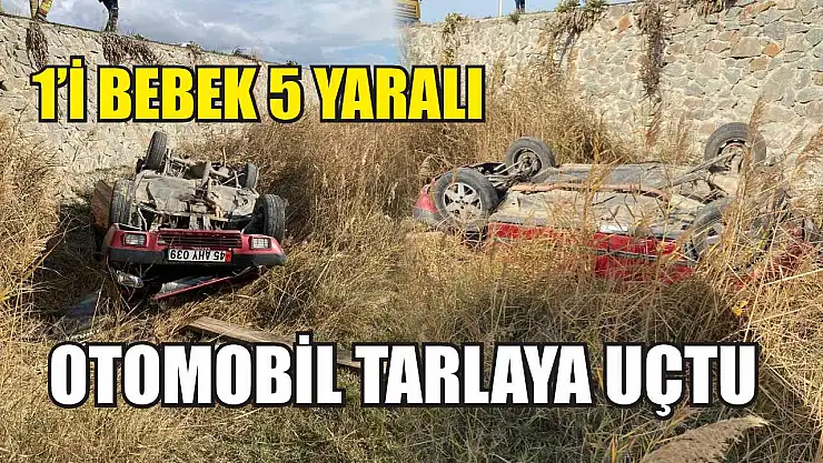 Otomobil tarlaya uçtu: 1'i bebek 5 yaralı