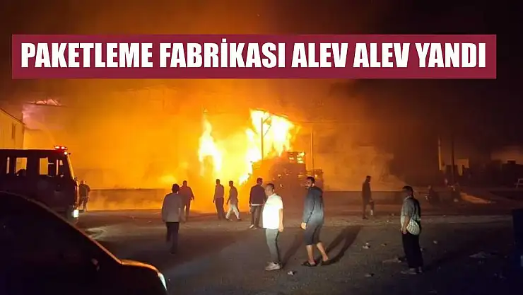 Paketleme fabrikası alev alev yandı