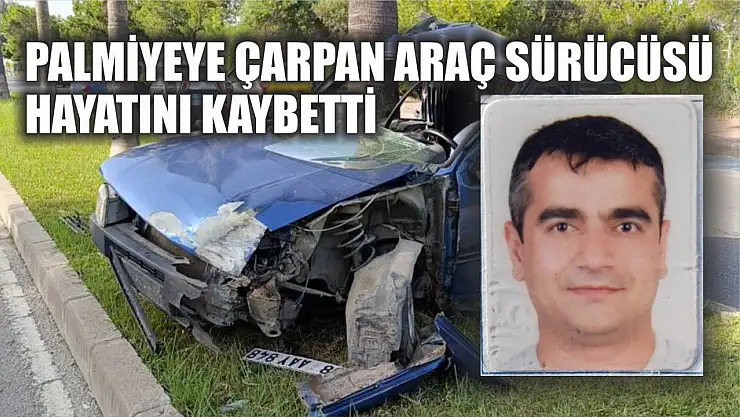 Palmiyeye çarpan araç sürücüsü hayatını kaybetti