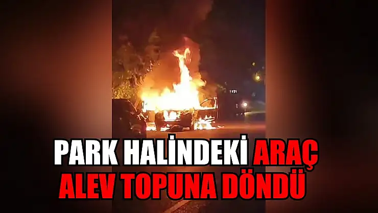 Park halindeki araç alev topuna döndü