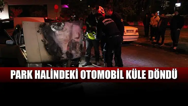 Park halindeki otomobil küle döndü