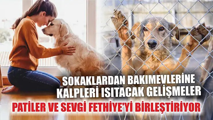 Patiler ve Sevgi Fethiye'yi Birleştiriyor: Sokaklardan Bakımevlerine Kalpleri Isıtacak Gelişmeler!