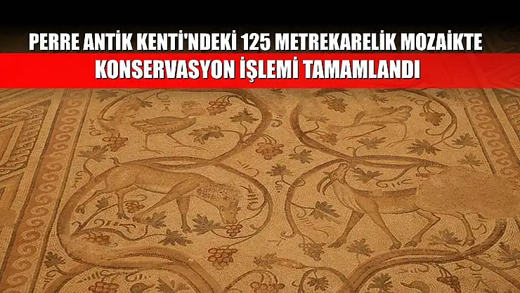 Perre Antik Kenti'ndeki 125 metrekarelik mozaikte konservasyon işlemi tamamlandı