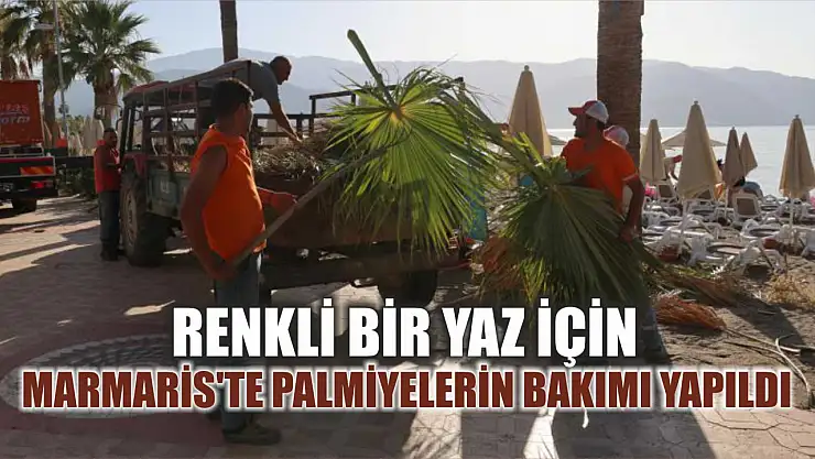 Renkli Bir Yaz İçin: Marmaris'te Palmiyelerin bakımı yapıldı