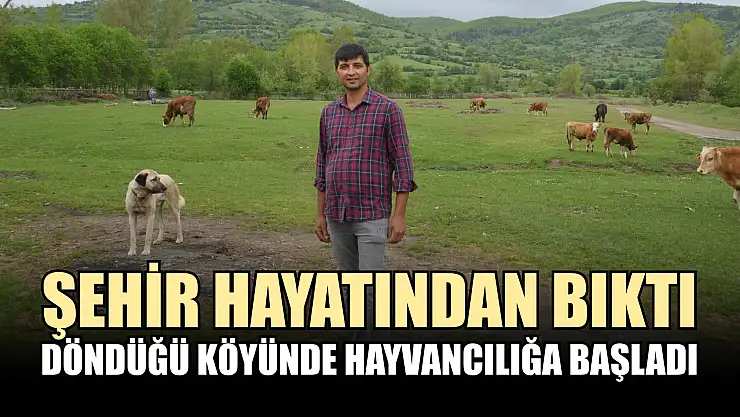 Şehir hayatından bıktı, döndüğü köyünde hayvancılığa başladı