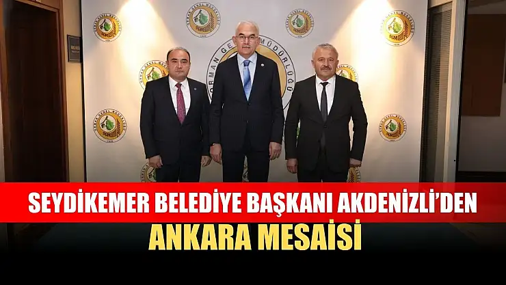 Seydikemer Belediye Başkanı Akdenizli'den Ankara mesaisi