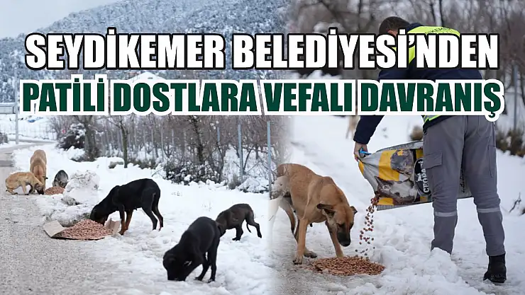 Seydikemer Belediyesi'nden Patili Dostlara Vefalı Davranış