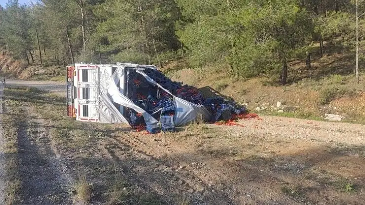 Seydikemer'de domates yüklü kamyon devrildi