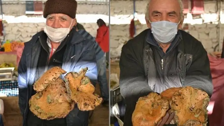 Şimdi çıntar zamanı