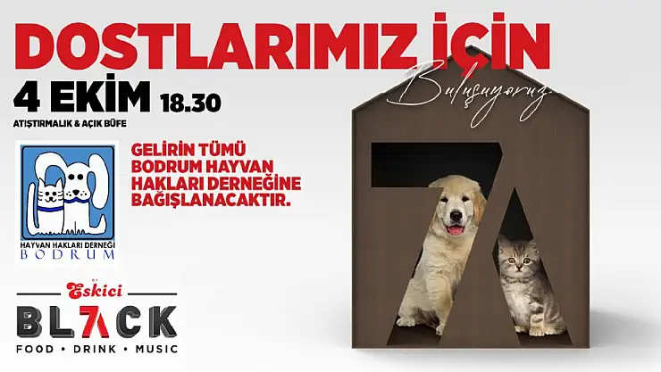 Sokak canları için Eskici Black7'da buluşuyorlar