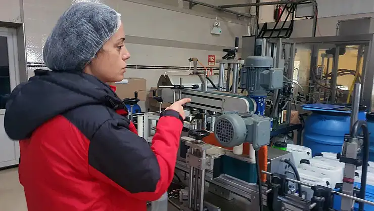 Tarım Müdürlüklerinden zeytin ve zeytinyağı denetimi