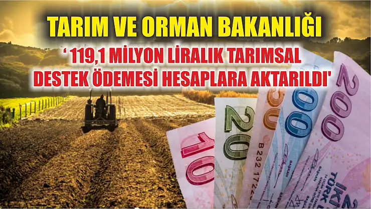 Tarım ve Orman Bakanlığı: ' 119,1 milyon liralık tarımsal destek ödemesi hesaplara aktarıldı'