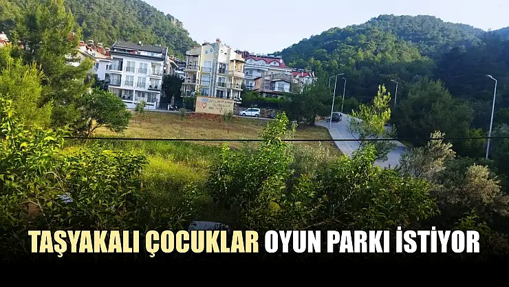 Taşyakalı çocuklar oyun parkı istiyor