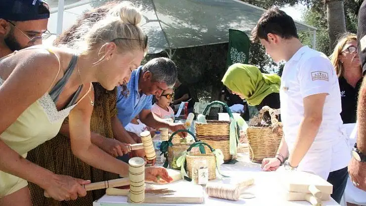 Tatile gelen turistler denizden çıkıp 500 yıllık ağaçlardan zeytin topladı