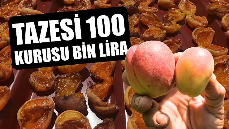 Tazesi 100 kurusu bin lira