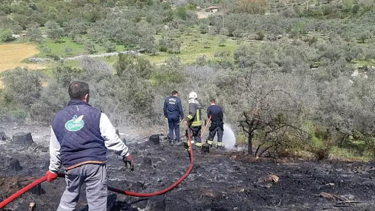 TEMİZLİK ATEŞİ ORMANI YAKIYORDU