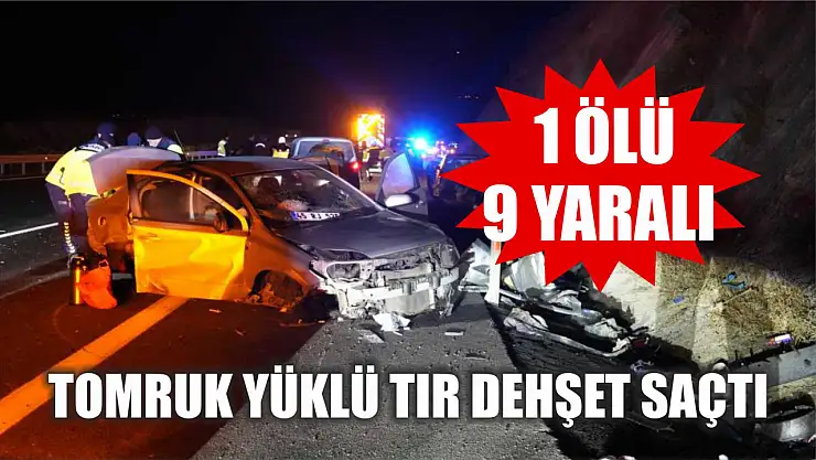 Tomruk yüklü tır dehşet saçtı: 1 ölü, 9 yaralı