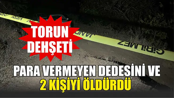 Torun dehşeti: Para vermeyen dedesini ve 2 kişiyi öldürdü