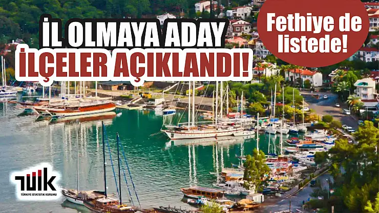 TÜİK, İl olmaya aday İlçeleri açıkladı! Fethiye de listede!