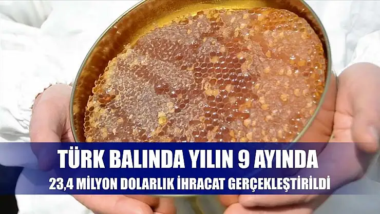 Türk balında yılın 9 ayında 23,4 milyon dolarlık ihracat gerçekleştirildi