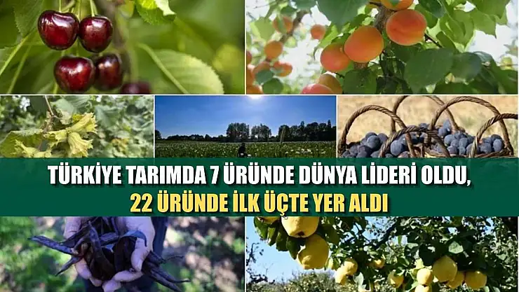 Türkiye tarımda 7 üründe dünya lideri oldu, 22 üründe ilk üçte yer aldı