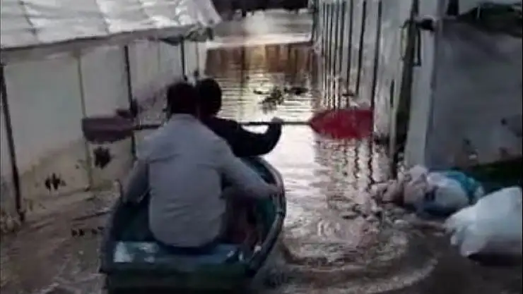 Üreticiler, sular altında kalan seraları için kürek çekti