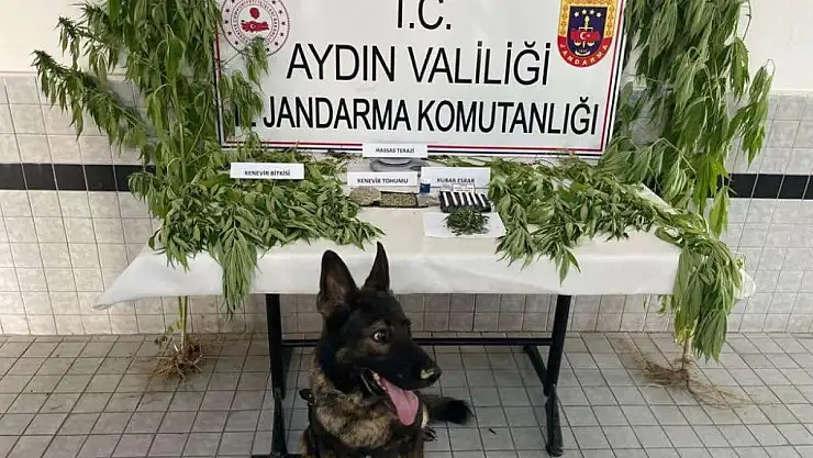 Uyuşturucu operasyonu: 27 tutuklama