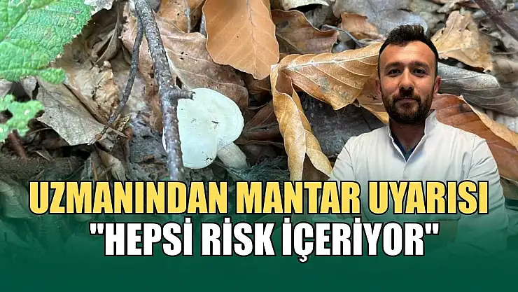 Uzmanından mantar uyarısı: 'Hepsi risk içeriyor'