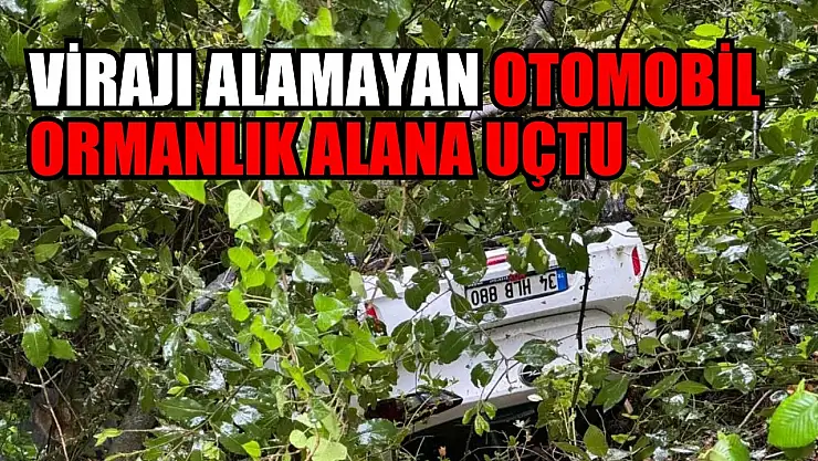 Virajı alamayan otomobil ormanlık alana uçtu: 3 yaralı