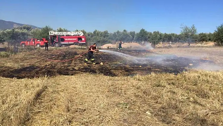 Yatağan'daki yangında 6 dönüm alan zarar gördü