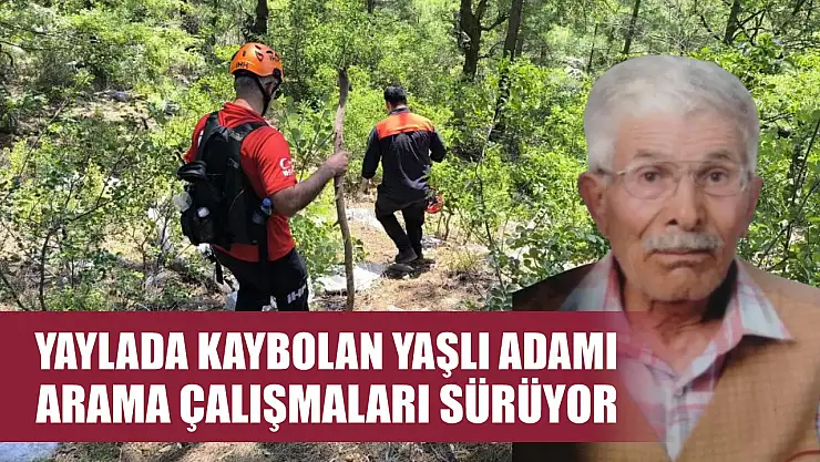 Yaylada kaybolan yaşlı adamı arama çalışmaları sürüyor