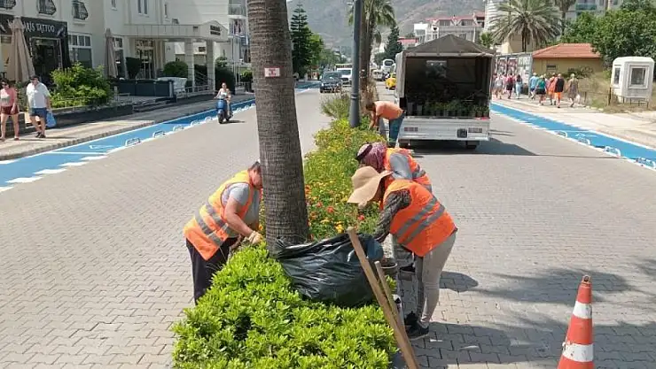 Yeşil alanlar bakıma alındı