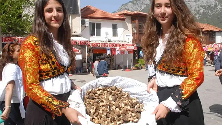 Yeşilüzümlü Dastar Ve Kuzugöbeği Mantar Festivaline son 18 gün