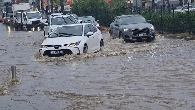 Yoğun yağışlar Kasım bereketi yaşattı