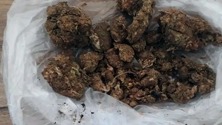 Yol kontrolünde uyuşturucu yakalandı