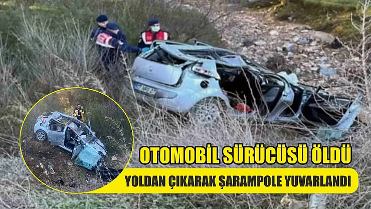 Yoldan çıkarak şarampole yuvarlandı, otomobil sürücüsü öldü
