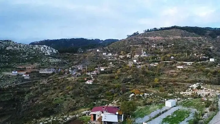 Zeytinköy'ün karası yeşile büründü