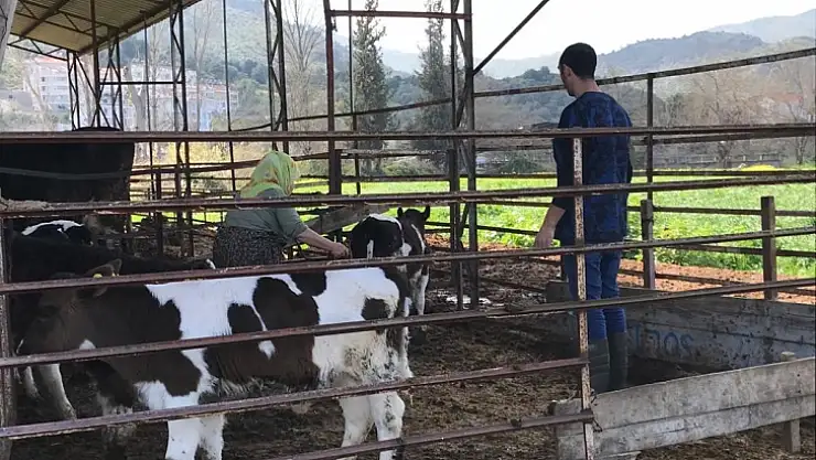 Zorunlu Aşı Yaptırmayanlara İdari Para Cezası Uygulanacak