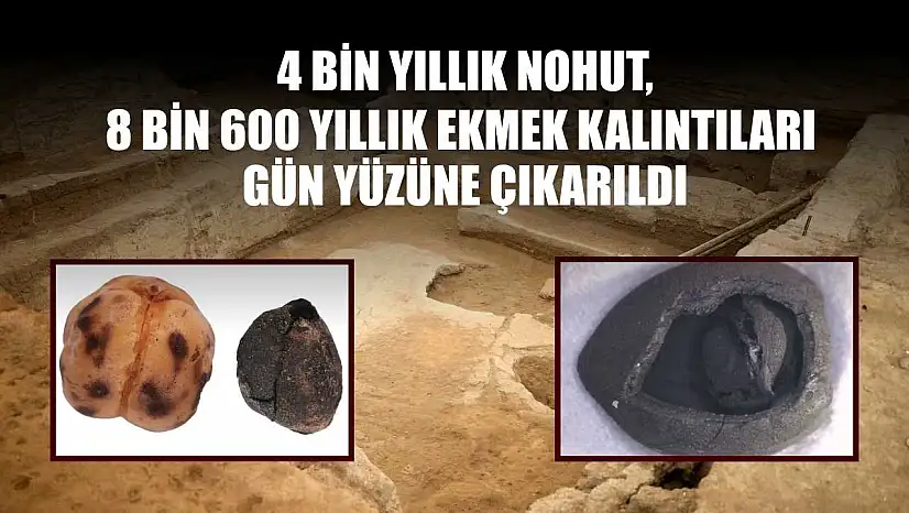 4 bin yıllık nohut, 8 bin 600 yıllık ekmek kalıntıları gün yüzüne çıkarıldı