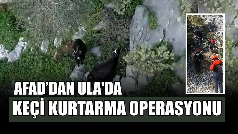 AFAD'dan Ula'da keçi kurtarma operasyonu