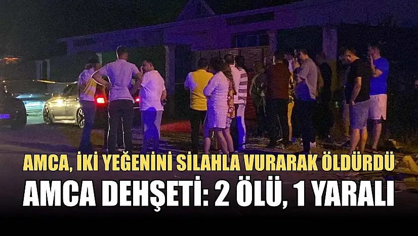 Amca dehşeti: 2 ölü, 1 yaralı