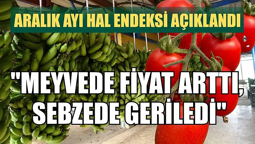 Aralık ayı hal endeksi açıklandı: 'Meyvede fiyat arttı, sebzede geriledi'