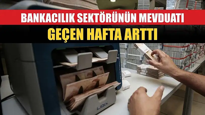 Bankacılık sektörünün mevduatı geçen hafta arttı