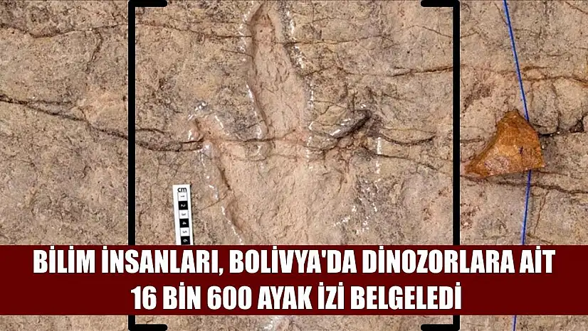 Bilim insanları, Bolivya'da dinozorlara ait 16 bin 600 ayak izi belgeledi