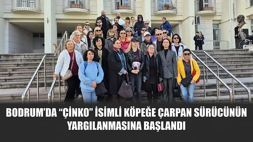 Bodrum'da 'Çinko' isimli köpeğe çarpan sürücünün yargılanmasına başlandı